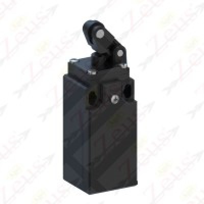Micro limit switch