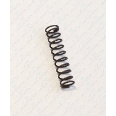 Lever fixing pin spring