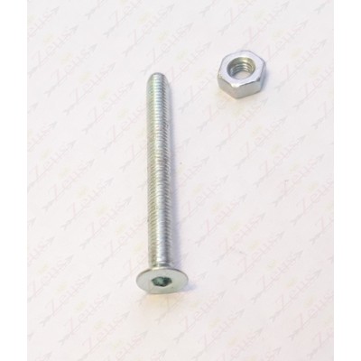 T.S.E.I screw M3x30 with nut