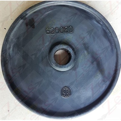 ANNOVI REVERBERI MEMBRANE