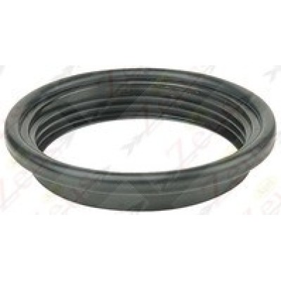 THREADED RING WITH DOUBLE SEAL DIAM. 415 ATOMIZERS