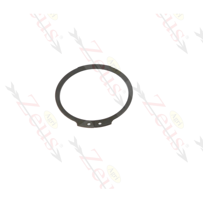 Seeger / Anello di sicurezza per albero da 110