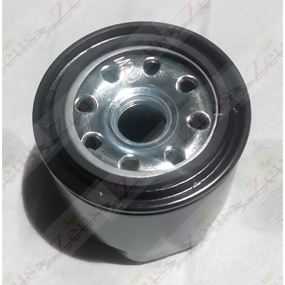 Filtro gasolio 