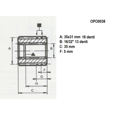Semigiunto Z 13 / 18