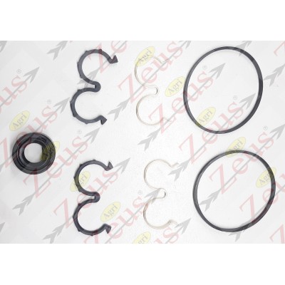 CAPRONI GROUP 1 PUMP/MOTOR GASKET KIT