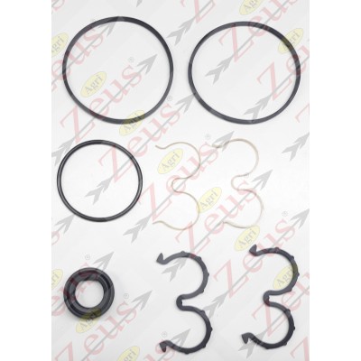 PUMP/MOTOR GASKET KIT GROUP 2 CARONI