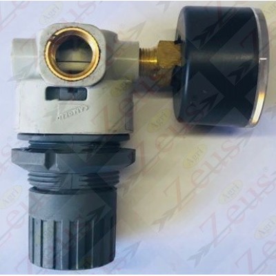 PRESSURE REGULATOR 1/4"