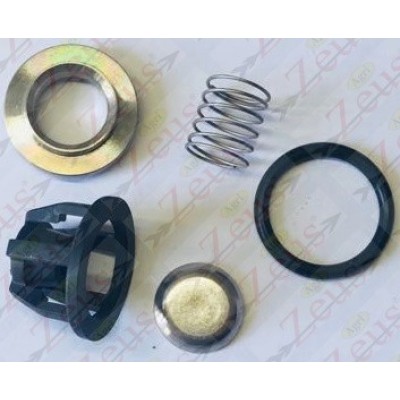 VALVE FOR ANNOVI PUMP