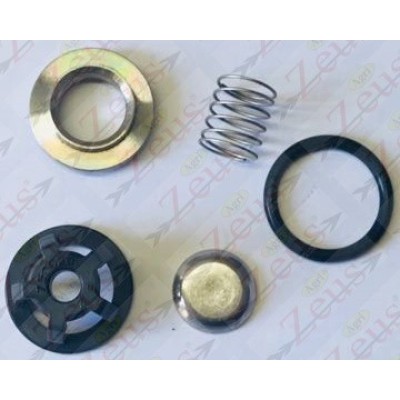 VALVE FOR ANNOVI PUMP