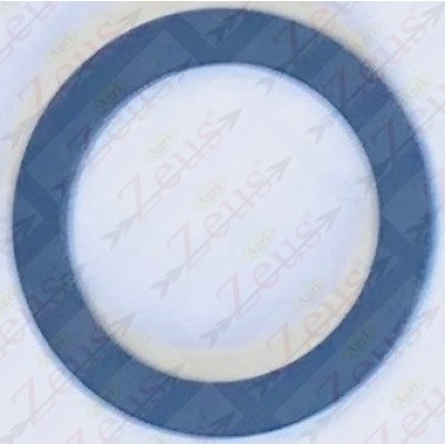 FLAT GASKET 1"