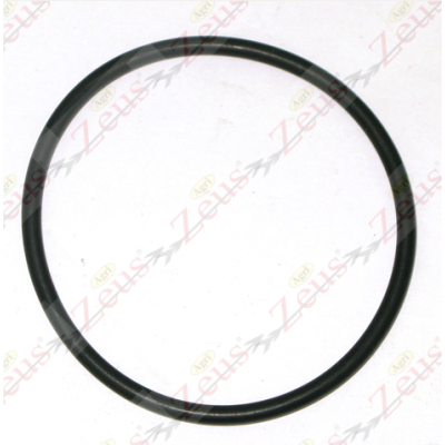 Gasket for weeding drum filter