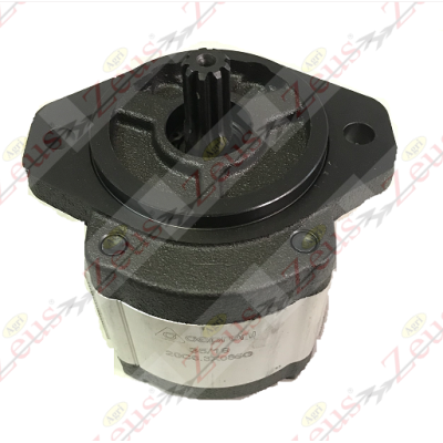 Pump group 2 SAE flange on the right 6.3 cc
