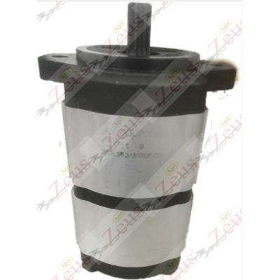 Double pump 6+6 cc SAE flange