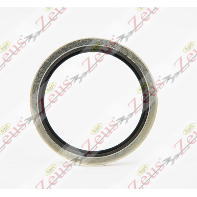 Rondella bonderizzata da 18 rb. 18.16