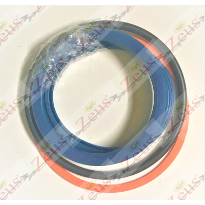 Head gasket kit, stem 70 for TECNOFRUIT shredder piston
