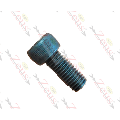 TL25 screw for Lisam and Ibea electric scissors