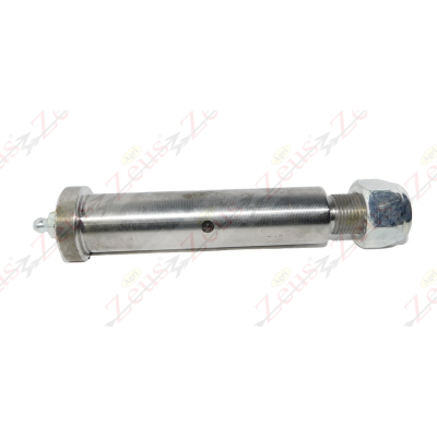 Spinotto balestra perno 25 x 100