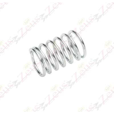 Motor spring 71 x 110 wire 6.5