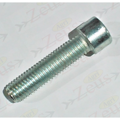 12x50 Allen screw with full thread, galvanized