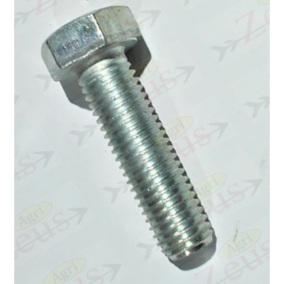14x50 hexagonal screw with full thread, galvanized