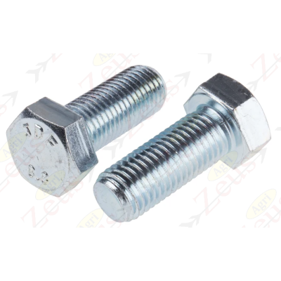 16x40 hexagonal screw with full thread, galvanized