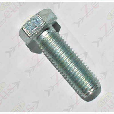 16x50 hexagonal screw with full thread, galvanized