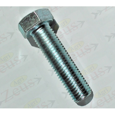 16x60 hexagonal screw with full thread, galvanized