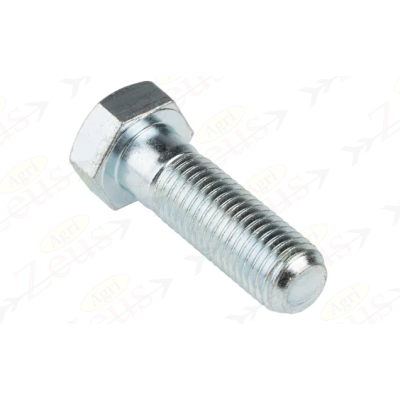 Screw 18x50 hexagonal full thread galvanized