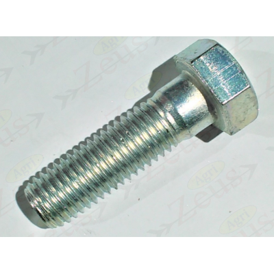 Screw 18x60 hexagonal partial thread galvanized