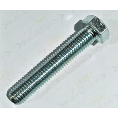 Screw 18x100 hexagonal full thread galvanized