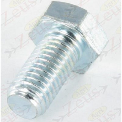 20x50 hexagonal screw with full thread, galvanized
