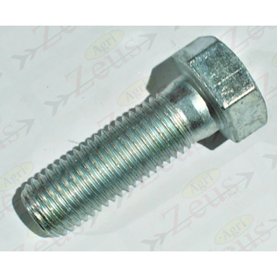 Screw 20x60 hexagonal partial thread galvanized