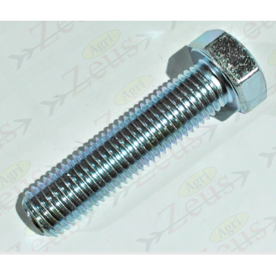 20x80 hexagonal screw with full thread, galvanized