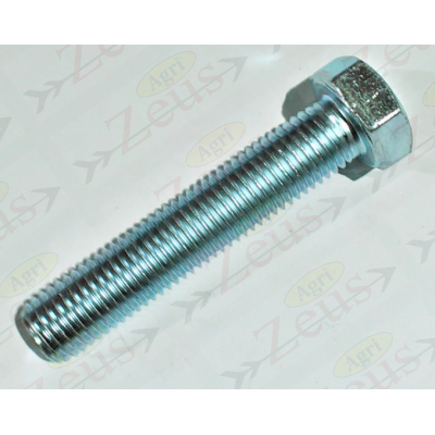 Screw 20x100 hexagonal full thread galvanized