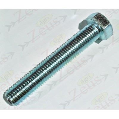 Screw 20x120 hexagonal full thread galvanized