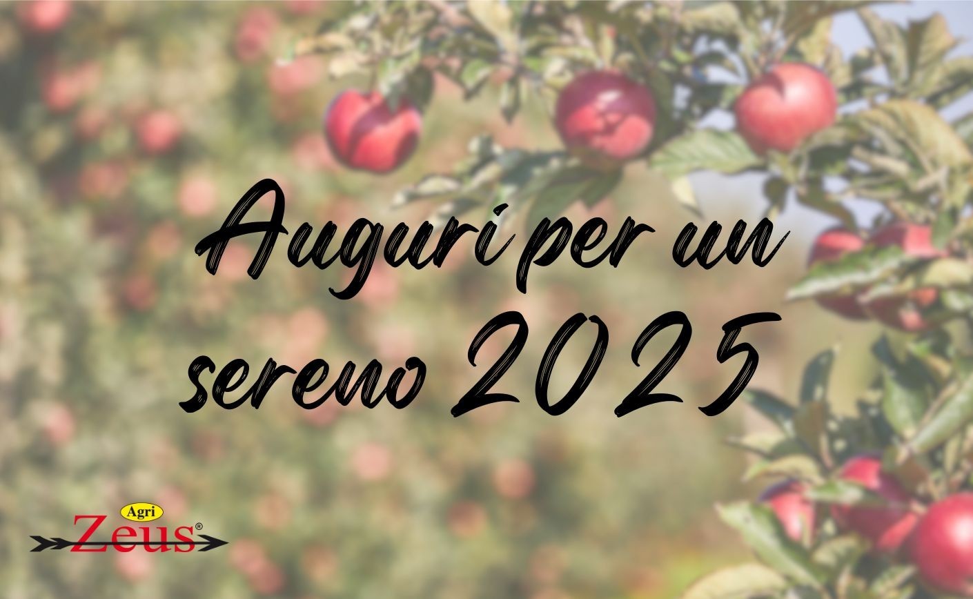 Auguri di buon Natale e felice anno nuovo!