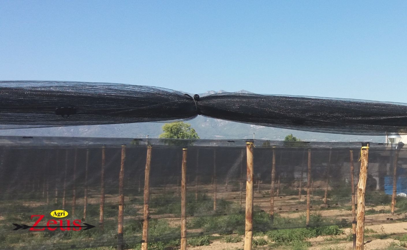 Elastici per l'agricoltura: protezione e funzionalità